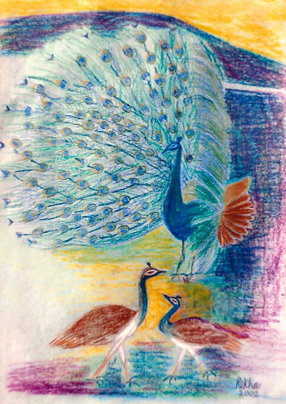 Pastoral Allure 21 A Peacock dancing in side view with two Peahens in the foregound, over a backdrop of dark blue hills